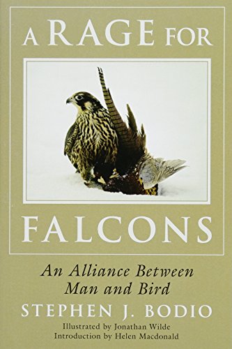 A Rage for Falcons: An Alliance Between Man and Bird A Rage for Falcons: An Alliance Between Man and Bird