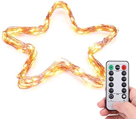 33ft 100 LED 8 Modes USB Powered String Lights Dimmable with Remote Control, Findyouled Waterproof Decorative Lights for Bedroom, Patio, Garden, Gate, Yard, Parties ( Copper Wire Lights, Warm White )