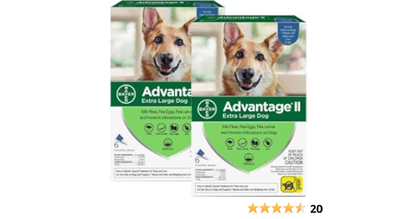 advantage for dogs amazon