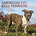 American Pit Bull Terriers 2020 12 x 12 Inch Monthly Square Wall Calendar with Foil Stamped Cover, A by