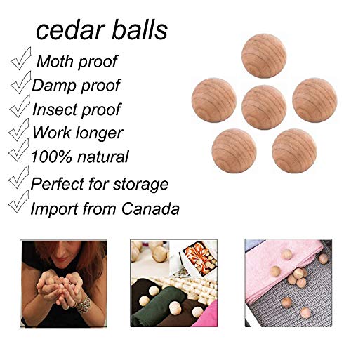 homeminda Garment Bags for Storage 8packs 60in Clear Hanging