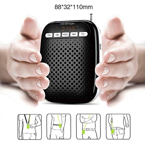 winbridge voice amplifier