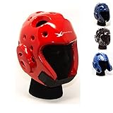 whistlekick Martial Arts Sparring Helmet (Heat Red, Large) with Free Backpack-Taekwondo Martial Arts Sparring Equipment Gear Set