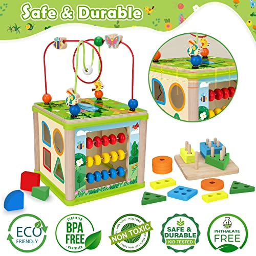 Montessori Developmental Toys for 1 Year old Boys & Girls,6in1Wooden