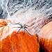 Halloween Haunters Super Stretch Spider Web Cobweb with 6 Black Spiders Prop Decoration - 100 Grams of Spooky Realistic Webbing Covers 400 Square Feet - Use in Yard, Entryway, Haunted House Graveyard
