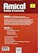 Amical: Cahier d'Exercices 2 & CD Audio (French Edition)