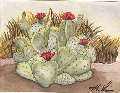 The Cactus Rose