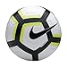 Nike Team Strike Ball [WHITE]