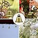 40 Pieces Christmas Bronze Jingle Bells Craft Small Bells Vintage Jingle Bells Brass Silver Color Bells Christmas Bells for Dog Potty Training, Making Wind Chimes, Festive Decor 1.5 inch