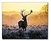Rustic Home Hunting Wall Decor - 4 Piece Deer Quote Set - Art Prints Decorations Painting for Bedroom, Man Cave, Hunting Room, Kitchen, Basement, Bathroom, Farmhouse, Shelf, Living Room, Desk, Office