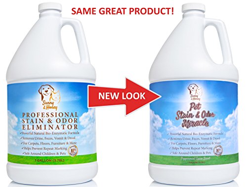 Pet Stain & Odor Miracle - Enzyme Cleaner for Dog and Cat ...