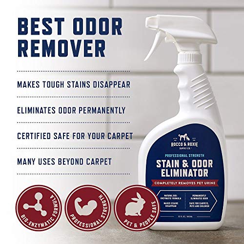 Rocco & Roxie Stain & Odor Eliminator for Strong Odor EnzymePowered