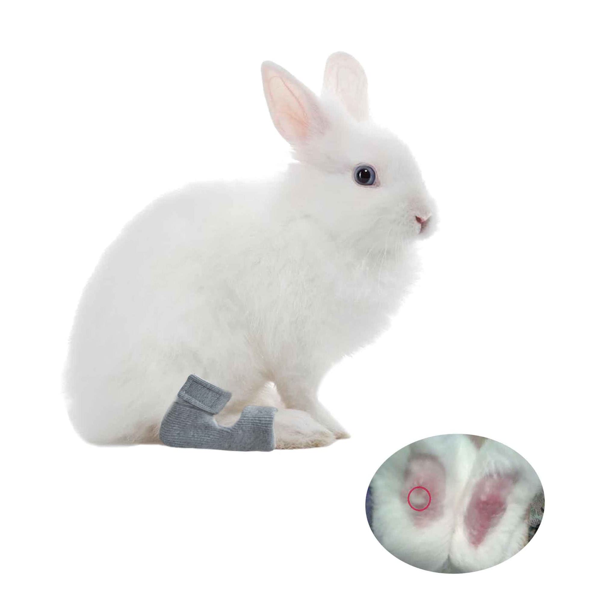 Photo 1 of 1 Pair Rabbit Socks for Sore Hocks Elbow Protective for Bunny Recovery and Relief Wound Pain (L)