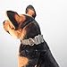 EXCELLENT ELITE SPANKER Tactical Training Adjustable Dog Collar with Quick Release Metal Buckle(MCP)