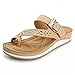 Alexis Leroy Women's Comfort Wedge Heel Sandals Thong Buckle Flip Flops