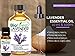 BioFinest Lavender Oil - 100% Pure Lavender Essential Oil - Therapeutic Grade - Bulgaria Premium Quality - Best For Aromatherapy, Diffuser, Massage, Anxiety & Stress Relief - FREE E-Book (10ml)