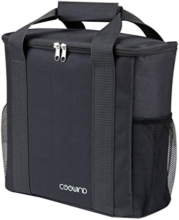 Insulated Lunch Bag with 2 Mesh Side Pockets (Gray)