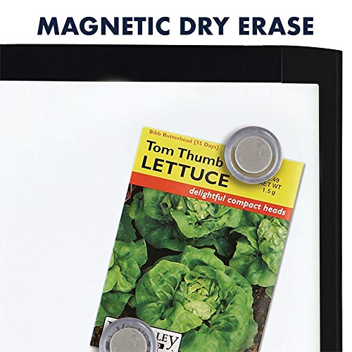 2 Quartet+Magnetic+Dry+Erase+Inches+MHOW8511+BK