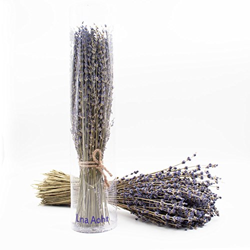 image for Lna Aoht Lavender Bundles- with 200 PCS Lavender Buds - Air Natural Fr