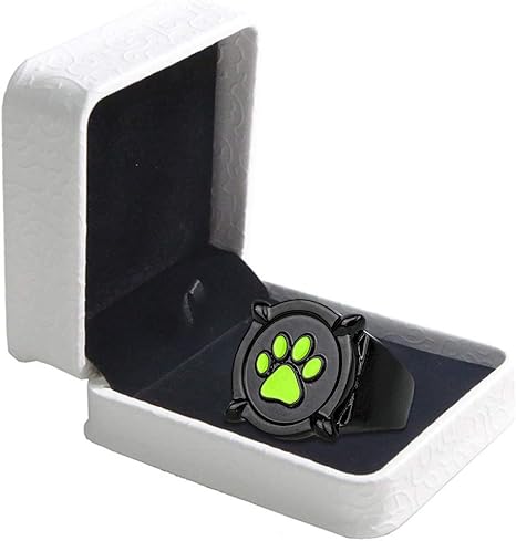 Cat Noir Bague Anime Chat Noir Cosplay Costume Alliage Zinc Accessoires Adulte Deguisement Pandent Halloween Noel Gifts Amazon Fr Jeux Et Jouets