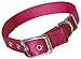 Hamilton Double Thick Nylon Deluxe Dog Collar, 1-Inch by 22-Inch, Redthumb 3