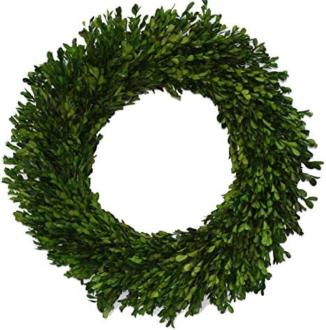 Flora Decor Preserved Garden Boxwood Wreath 22"