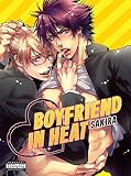 Boyfriend in Heat Boyfriend in Heat