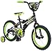 Teenage Mutant Ninja Turtles Boy's Bicycle, Black, 16-Inch