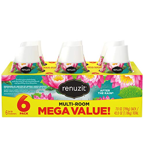 Renuzit Adjustable Air Freshener Gel, After The Rain, 7 Ounces (6 Count