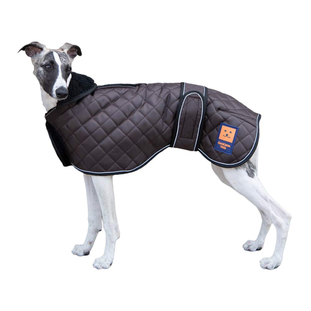 Ginger Ted Warm Thermal Quilted Greyhound Coat with Harness Slot Large size 24 inch / 61 cm