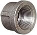 Anvil 8700132452, Malleable Iron Pipe Fitting, Cap, 2