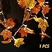 SILIVN Fall Decorations,Fall Garland,Fall Wreath,Thanksgiving Decorations,Christmas Decor Lighted Fall Garland Clearance(8.2 Feet) 20 Lights (1 Pack)