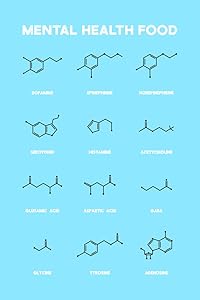 Mental Health Food Brain Chemicals Chart Cool Wall Decor Art Print Poster 12x18