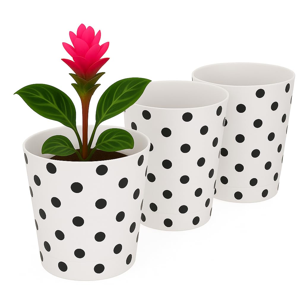 Home Garden Ornaments Indoor Plant Pot – Decorative Flower Pots with Inner Cone, Floral & Tropical Design Orchid Planters for Home Décor (13 cm / 5.1 inch – Black Peas)