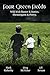 Four Green Fields: Wild Irish Banter & Stories, Shenanigans & Poetry. by Greg McVicker, J.P. Sexton