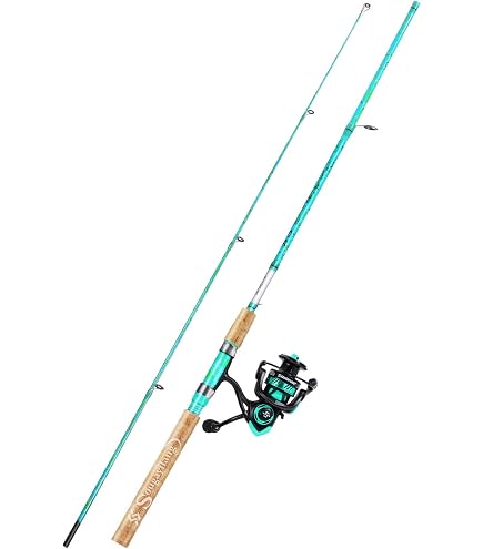 diawa shock fishing pole e662m Daiwa DSK25-B/F662M D-Shock Reel & Rod Combo 6'6