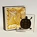 Real Turtle in Acrylic Block