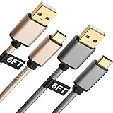 Type C Cable 6ft, X-EDITION Gold-Plated Durable Braided ( USB-A 2.0 to USB-C Male) Fast Charger Cord for LG G6/G5, Moto Z/Play, BLU Vivo 5 XL, Nexus 5X/6P, Samsung Galaxy S8 Plus (Gray, Gold) 2-Pack