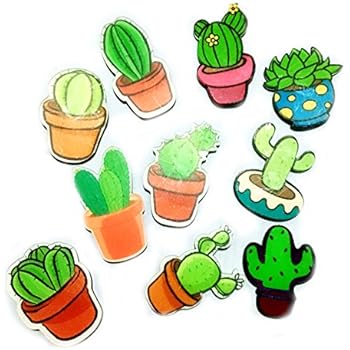 Koolemon 10Pcs Cute Acrylic Fridge Magnets Whiteboard Sticker Kitchen Refrigerator Magnets Cactus Succulent Magnets ... (Succulent)