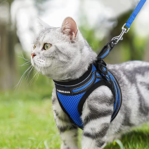 rabbitgoo Cat Harness and Leash Set for Walking Escape Proof, Adjustable Soft Kittens Vest with