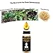 Kk Arunkriss Pennis Growth Herbs Oil for Men Size Enlarge Oil Increase Thickening 25ml Penisgrowth