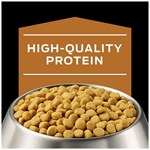 Veterinary Diets Purina NF Kidney Function Dog Food 18 lb Awesome Pet