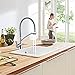 GAPPO Kitchen Faucet with Pull Out Sprayer, Drink Water Filter Function Brushed Nickel