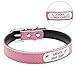 Didog Cute Leather Padded Custom Dog Collar with Engraved Nameplate ID Tag,Fit Cats and Small Medium Dogs,Pink,XS Size