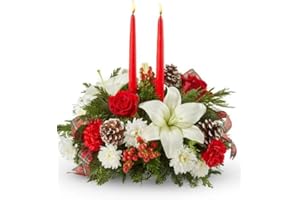 Red Blossom Centerpiece - Online Christmas Flowers & Gifts - The Shopstation Same Day Trees Flower Delivery -Send Xams Flowers Bouquets,Centerpiece,Gifts