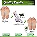 Dr. Entre's Foot Peel Mask | PARENT | Baby Soft Feet in Just 7 Days, Exfoliating Callus Remover (2 Pack Lemon)