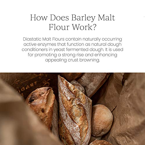 Breadtopia Organic Diastatic Malt Powder 8 oz. | Non-GMO Malted Barley Flour | No Additives, No Sugar, & No Fillers | Milled from Whole Malted Barley Kernel |