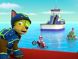 danny x paw patrol toy