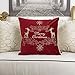 Homey COZY Embroidery Red Velvet Throw Pillow Cover, Merry Christmas Series Holiday Theme Luxury Soft Fuzzy Cozy Warm Slik Gift Square Couch Cushion Pillow Case 20 x 20 Inch, Cover Only