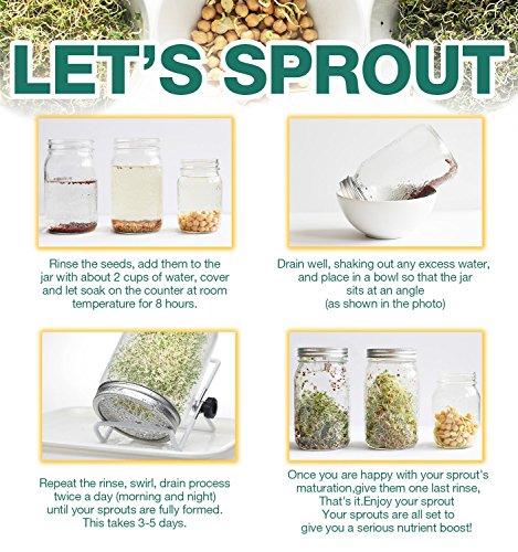 6 Pack Sprouting Lids for Wide Mouth Mason Jars Canning Jars,304 Stainless Steel Sprouting Jar Lid Kit Sprout Generator… 4 6 Pack Sprouting Lids for Wide Mouth Mason Jars Canning Jars,304 Stainless Steel Sprouting Jar Lid Kit Sprout Generator… - Image 5